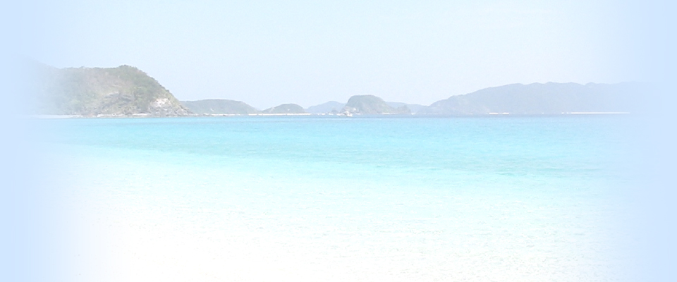 有限会社大地測量設計 ｜ 沖縄県那覇市の測量・建設コンサルタント